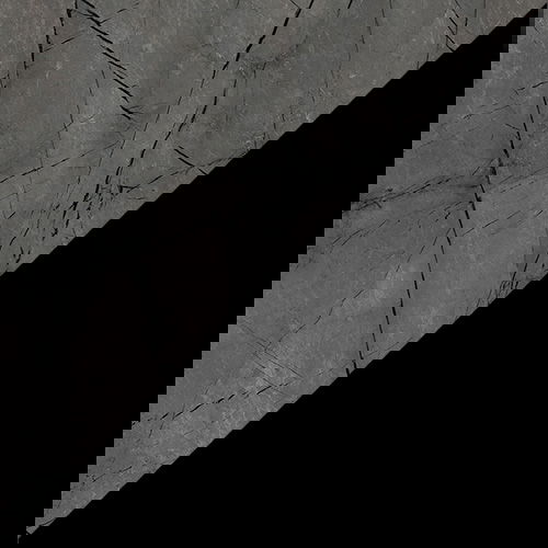 SW12249.2