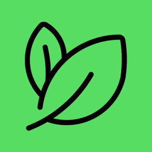 Tipp 4: Elektrokamin Eco-Stufe mit 1000 Watt statt 2000 Watt – halbe Heizkosten